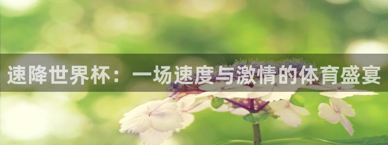 世界杯转播表:速降世界杯:一场速度与激情的体育盛宴