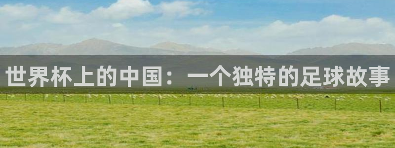 2026年世界杯:世界杯上的中国:一个独特的足球故事