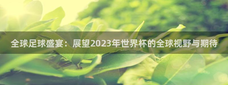 世界杯直播免费观看:全球足球盛宴:展望2023年世界杯的全球视野与期待