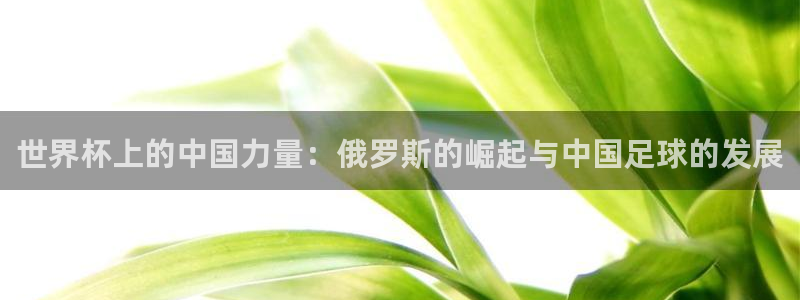 世界杯赛程2026:世界杯上的中国力量:俄罗斯的崛起与中国足球的发展