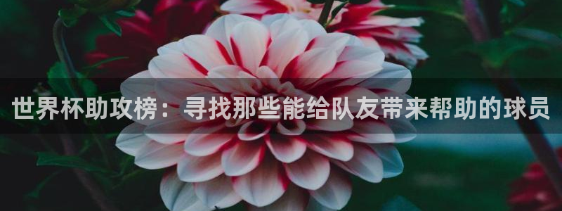 国际足联世界杯:世界杯助攻榜:寻找那些能给队友带来帮助的球员