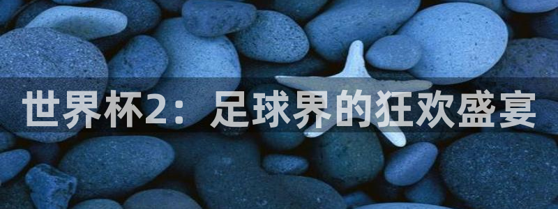 足球世界杯赛程:世界杯2:足球界的狂欢盛宴