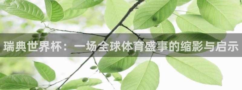世界杯预选赛规则:瑞典世界杯:一场全球体育盛事的缩影与启示